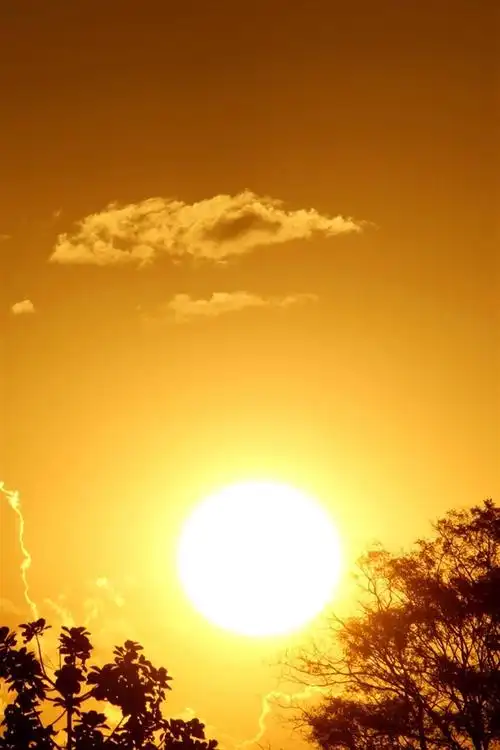 壁纸 日落,太阳,强光,树木,云,飞机 2880x1800 hd 高清壁纸, 图片