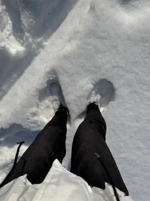 好奇有没有不换雪地胎的东北老铁?