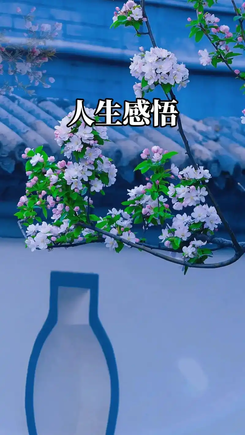 人生感悟.#水到绝境是风景人到绝处是重生#人性#人生感悟 # - 抖音