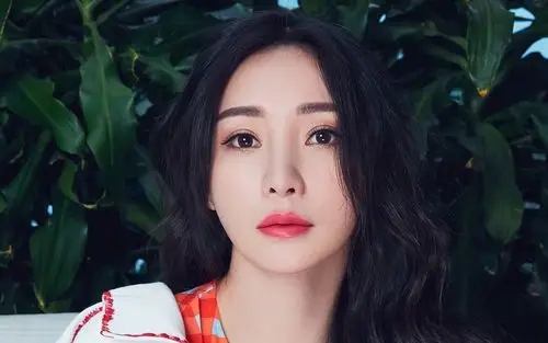 柳岩百变风格时尚杂志写真电脑壁纸