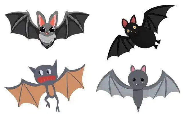 创意儿童画教程《儿童画动物蝙蝠》