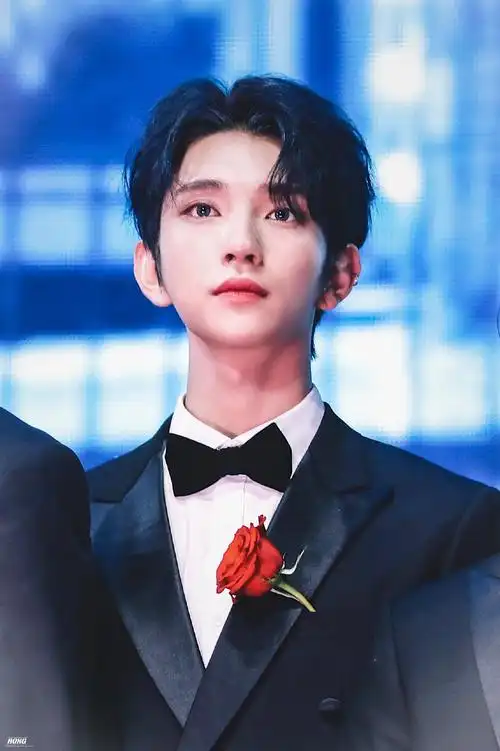 joshua 洪知秀 seventeen