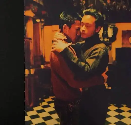 电影  #电影推荐  #壁纸 #张国荣 #梁朝伟 #春光乍泄 #王家卫存颊张