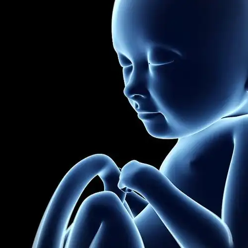 女人怀孕六个月的时候,宝宝的各个器官都已经发育了,体型也在慢慢变大