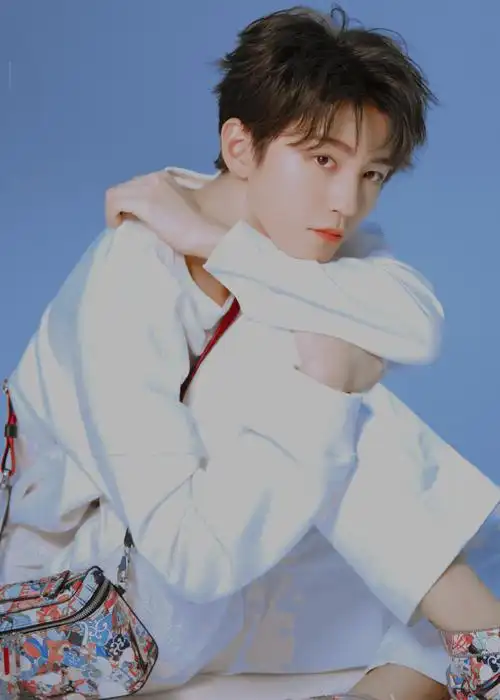 王俊凯2021一往无前##迪奥品牌大使王俊凯