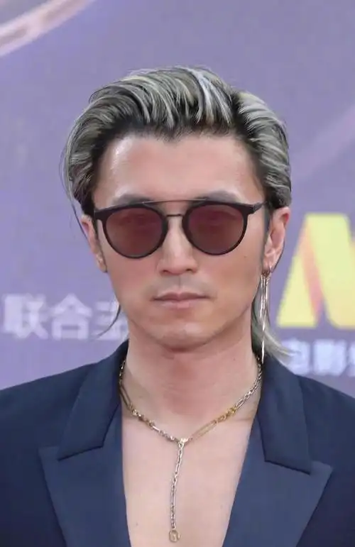 在华表奖现场谢霆锋穿着最酷的衣服戴着酷酷的墨镜,染着最酷的头发,却