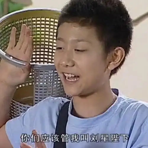 家有儿女 刘星表情包