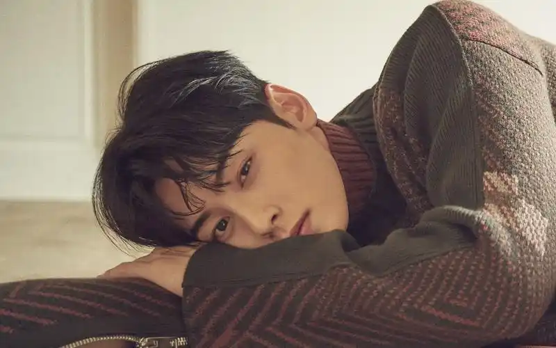 【车银优】[小资风尚chicteen 杂志] 拍摄花絮 200101_哔哩哔哩 (゜