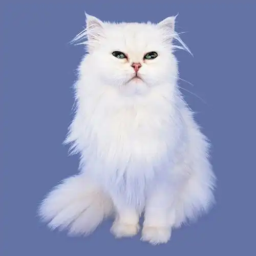 最简单的ps抠图换背景