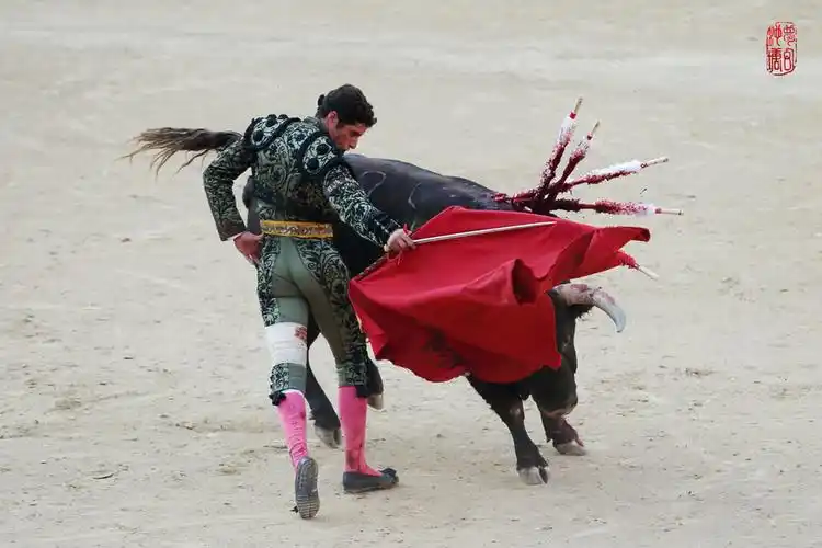 西班牙斗牛