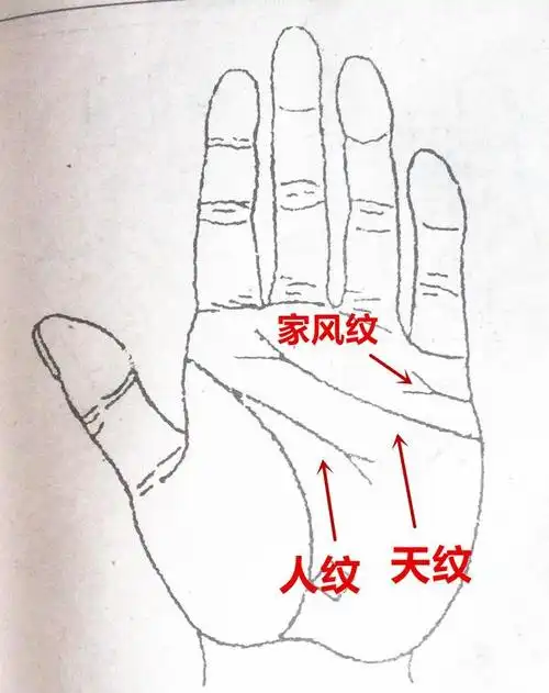 华易网:手相反抗线代表什么?如何反抗纹?