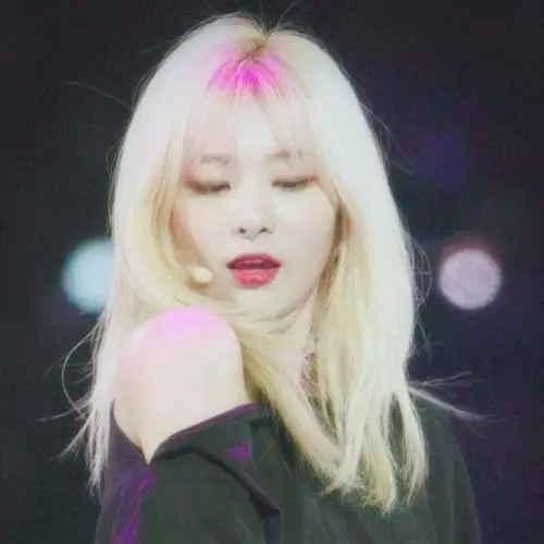 姜涩琪头像拿图收藏二传标明堆糖.郑修言