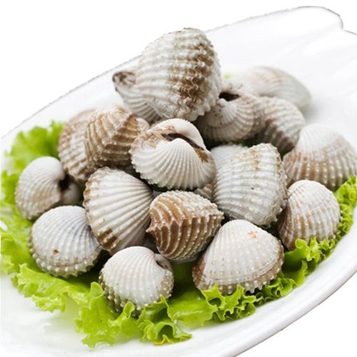 三门小海鲜 血蛤 花蛤贝类赤贝 海鲜鲜活 海产品银蚶 1份2斤顺丰