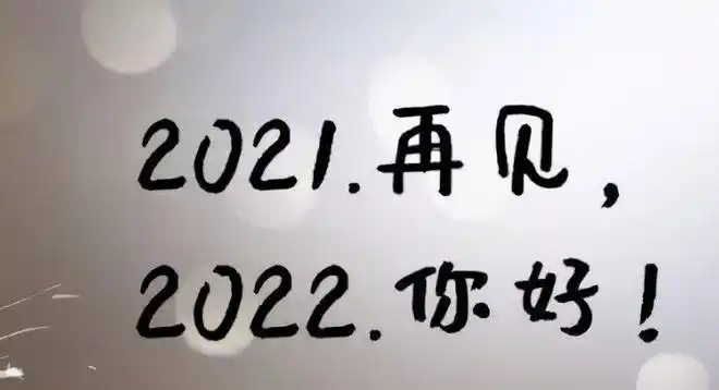 盘点2021年试驾车之最