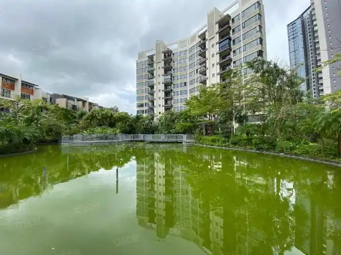 明月山溪,明月路8号-珠海明月山溪二手房,租房,房价-珠海安居客