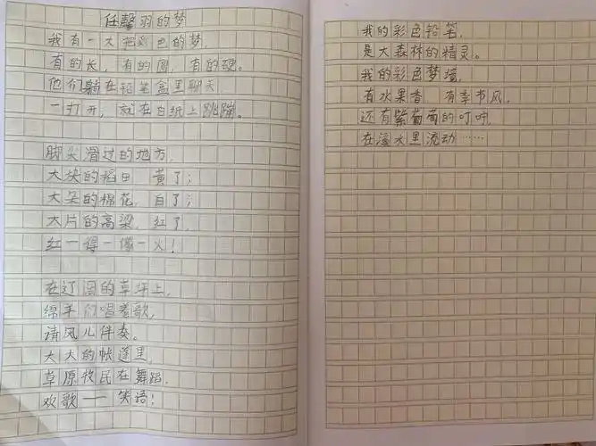 《彩色的梦》仿写优秀作品