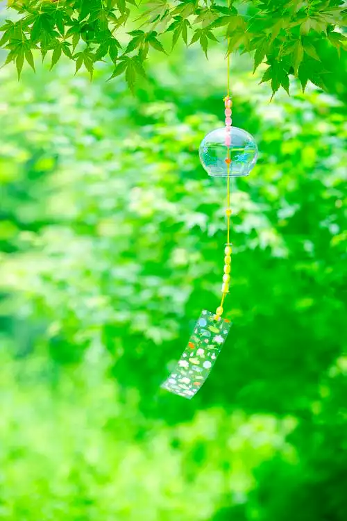 风铃绿枫叶图片素材