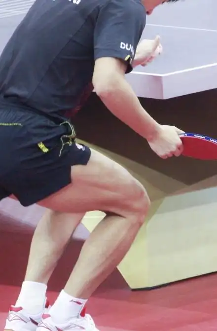 张继科一秒击杀何广智:你对奥运冠军的力量一无所知!_腾讯新闻