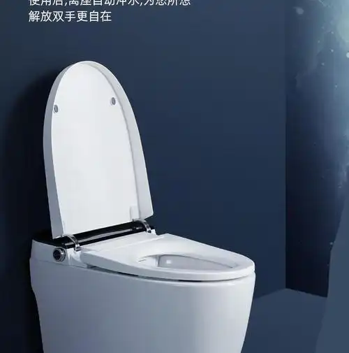 duravit杜拉维特紫外线马桶一体自动翻盖即热无水压限制 220mm 手动