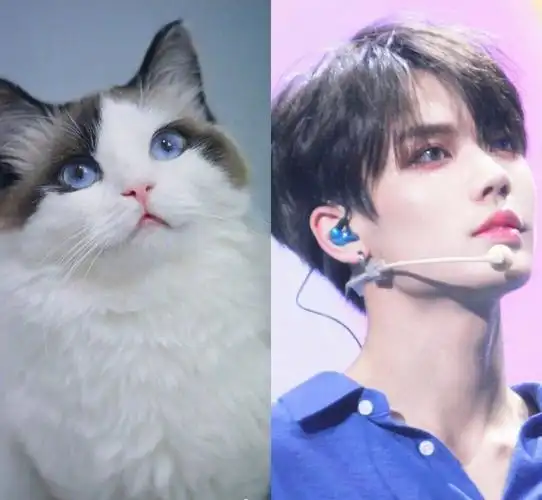 眼睛这圆圆的脑袋太可爱了不得不说最后一张太像了92#小橘  #林彦俊