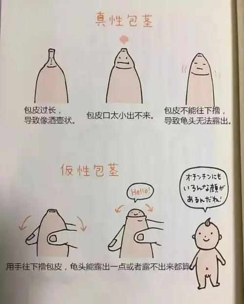 与家有男宝的妈妈谈谈小儿包皮的那些事