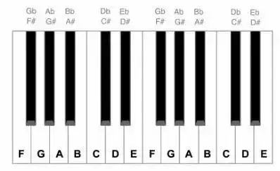 钢琴弹唱入门 第一课认识钢琴键盘