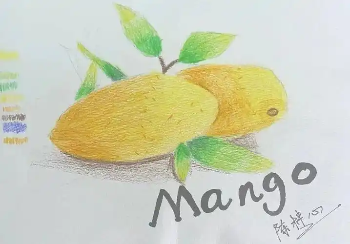 【云画廊 ▏每日一画】201班陈梓心《芒果芒果》(497)