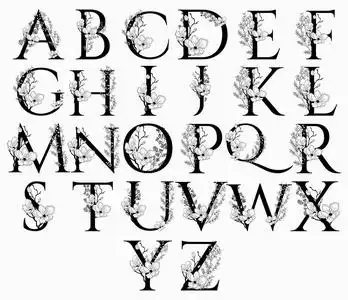 矢量手绘花字字母字母组合照片