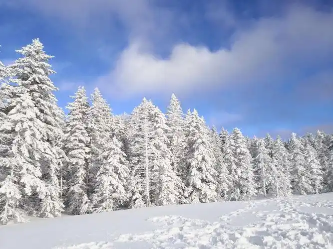 长白山林海雪原——老里克湖