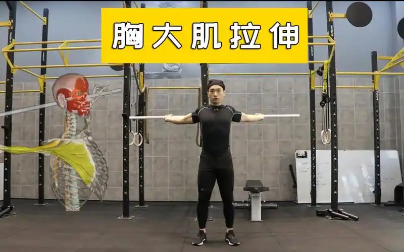 拉伸胸大肌拉伸的2种方法健身完一定要拉伸哦