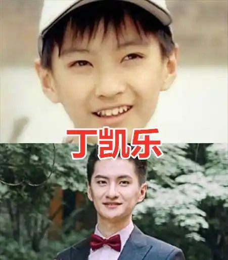 当然丁凯乐的样子也是很奶萌的,而如今丁凯乐长大了,也已经结婚了