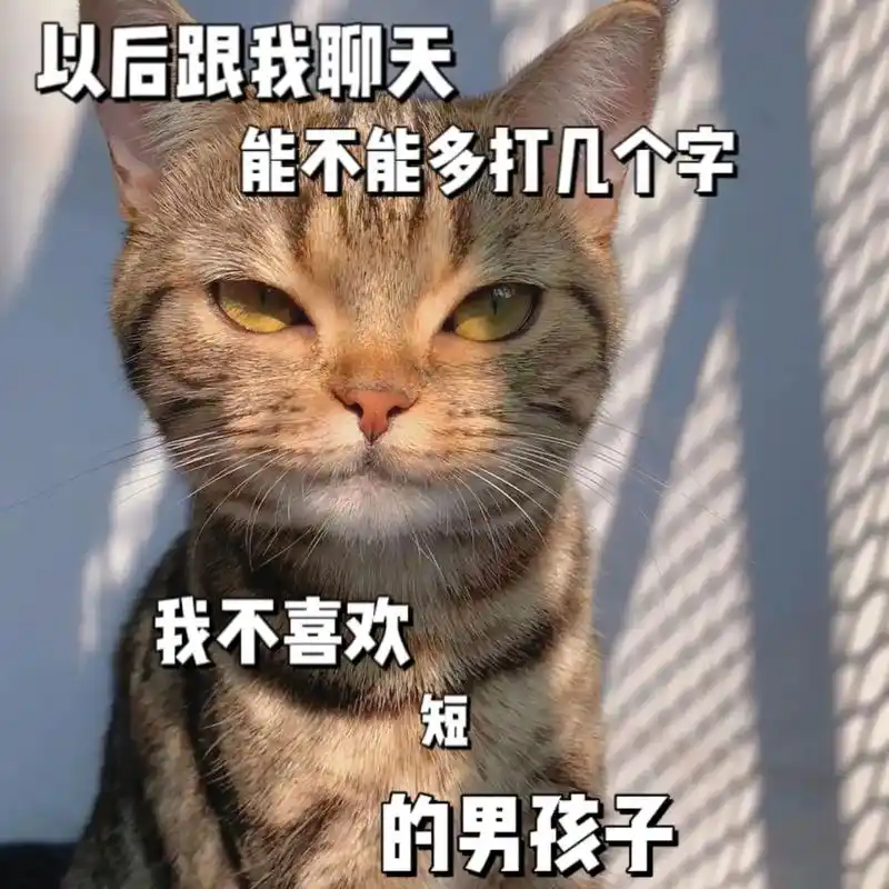 我不喜欢短的男孩子 #猫咪表情包 #发给对象表情包 #猫咪的 - 抖音