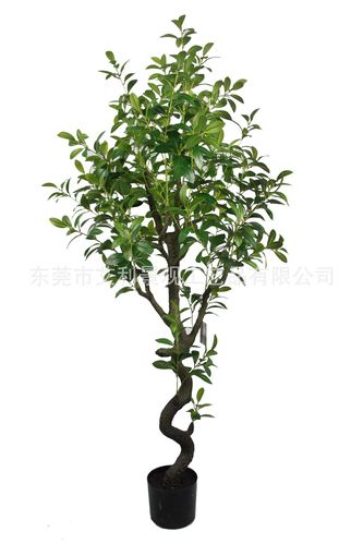 仿真植物杜鹃树 人造景观树仿真假树 室内庭院装饰树摆件