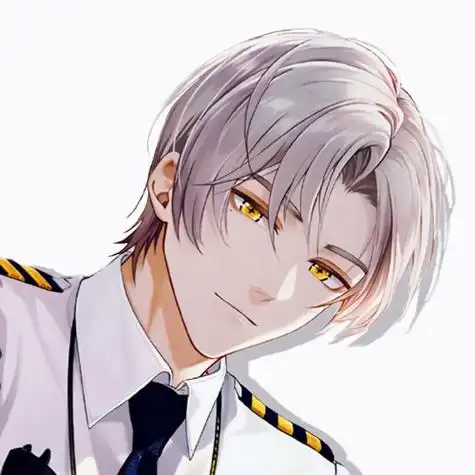 扣了个头像 有这样的副机长坐几.