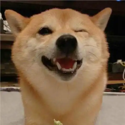 又萌又可爱的动物头像,全部是小狗的共10张