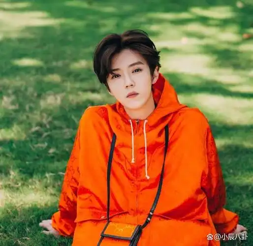 鹿晗,这位曾在韩国掀起风潮的中国男孩,回国后依然在续写着属于他的