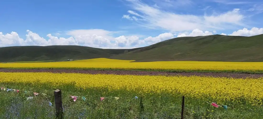 高山,草原,盆地,沙漠