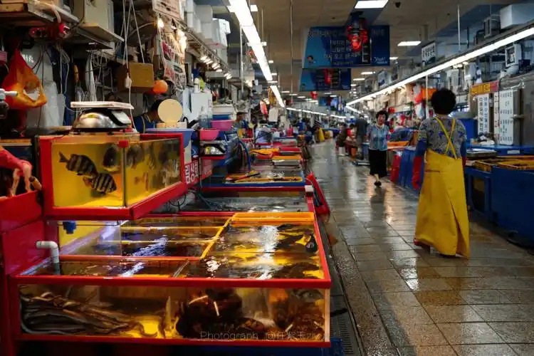 中秋未至市场先热海产品受备受青睐