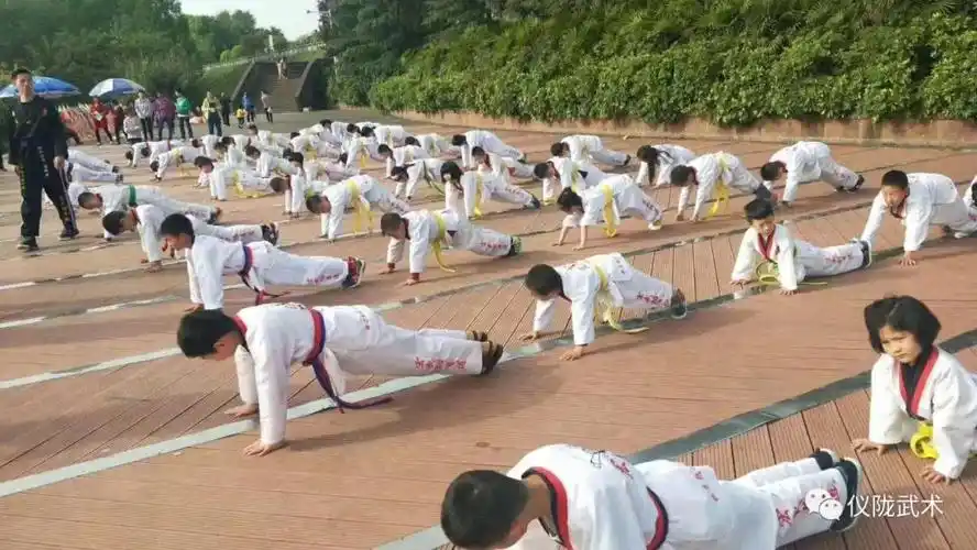 仪陇跆拳道|宏武跆拳道武术训练中心|仪陇跆拳道培训|仪陇跆拳道训练
