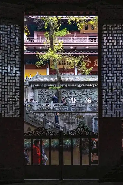 11月26日,浙江杭州,灵隐寺秋日美景.澎湃新闻记者 陈建慧 图