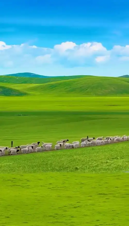 684_1200竖版 竖屏