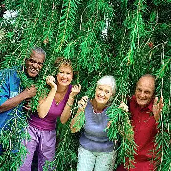 四个人,站立,并排,枝条,微笑