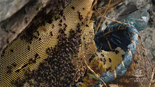 500_281gif 动态图 动图