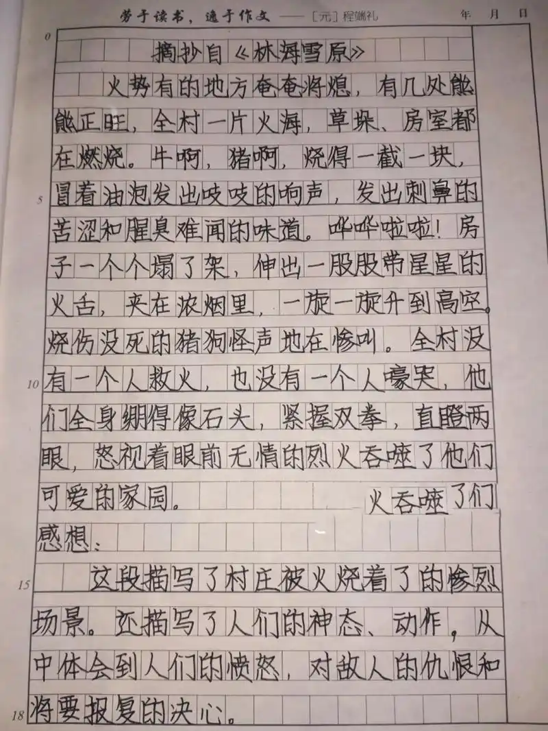 《林海雪原》摘抄 感想 摘抄 感想:300字