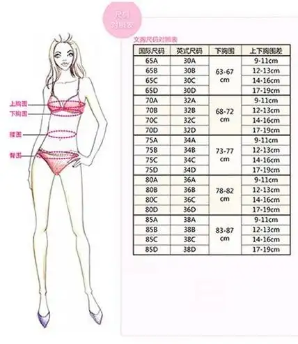 从科普图片可以看出,平常大家生活中听到的什么34c,36d等等都属于英式