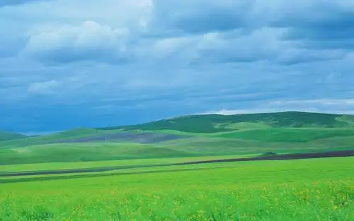 design 的风景图片大全桌面背景图片高清桌面壁纸下载  蓝天草原高清