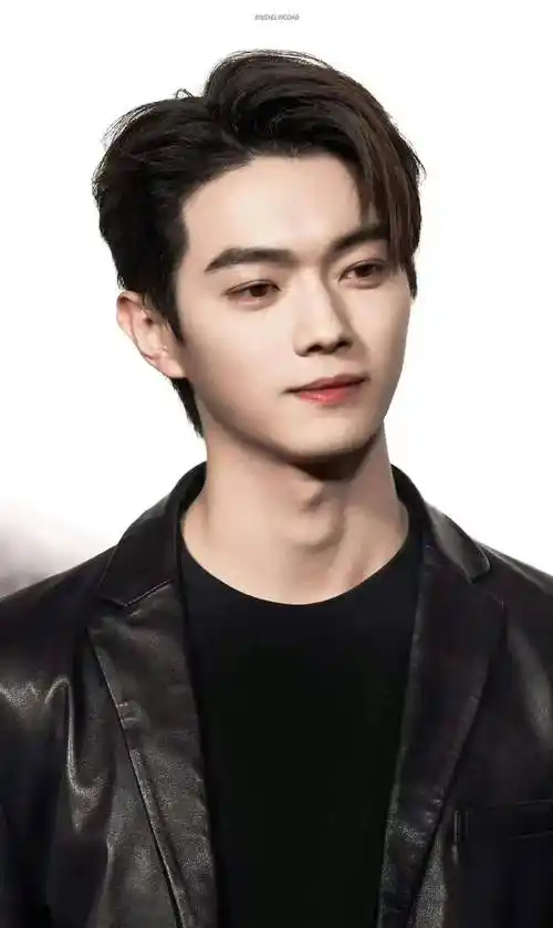 内娱高颜值男艺人数据排名,邓为22肖战第7王一博第5杨洋登顶_身高_cm