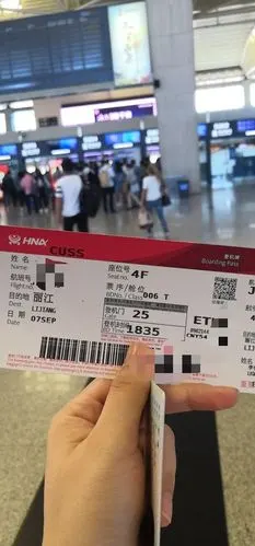 假装是一个人的旅行