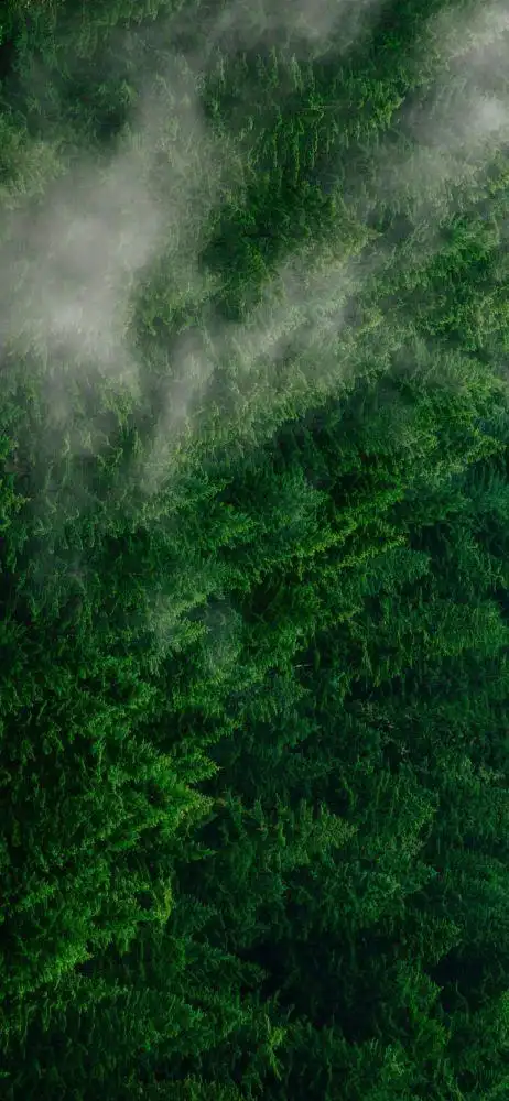 抖音热门潮图壁纸精选_飞飞巴士资讯