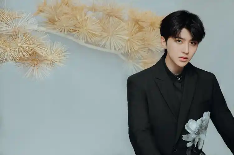 蔡徐坤时尚魅力写真,高清图片-纯色壁纸